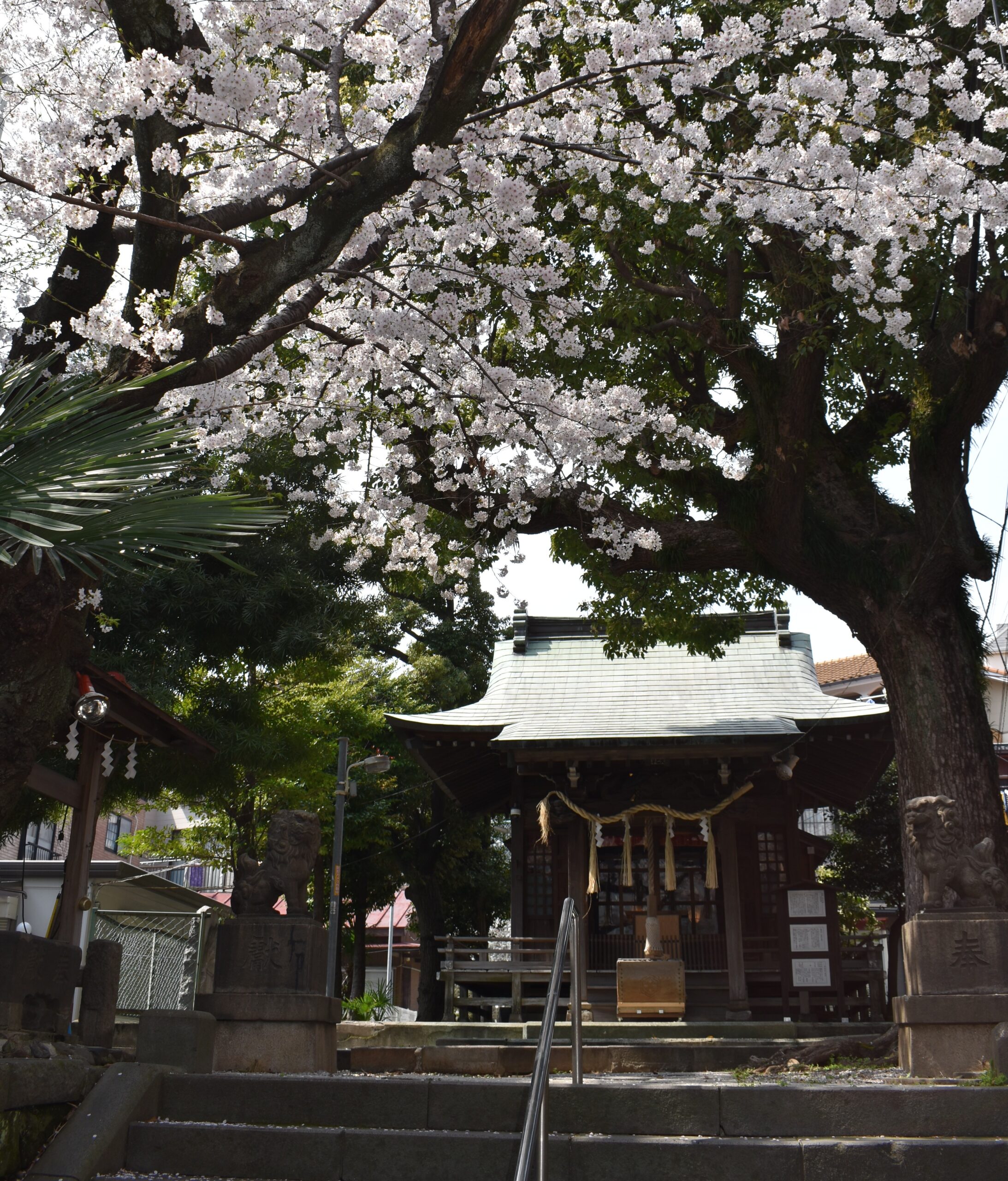 子神社